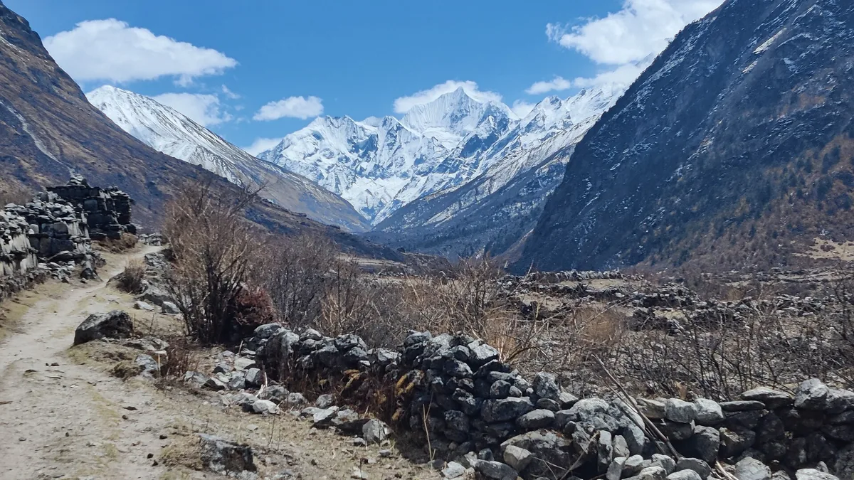 Trekking Essentials for High-Altitude Adventures