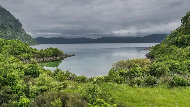 New Zealand's Great Walks: The Four Almost Nobody Books